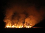 Pożary traw w Świętokrzyskiem - liczba rośnie lawinowo