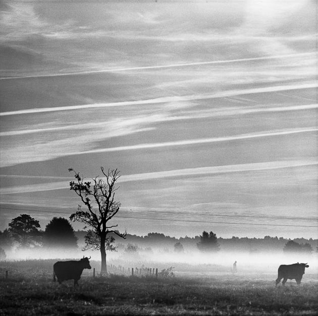 Muzeum Fotografii Wiktora Wołkowa zaprasza na dwa wydarzenia. Będzie można porozmawiać, pofotografować i pospacerować!