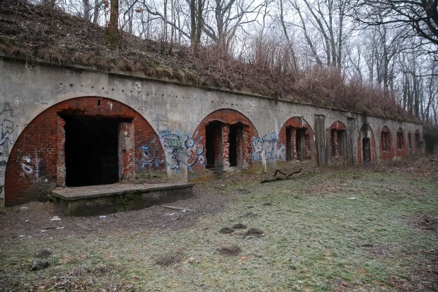 Fort Prokocim