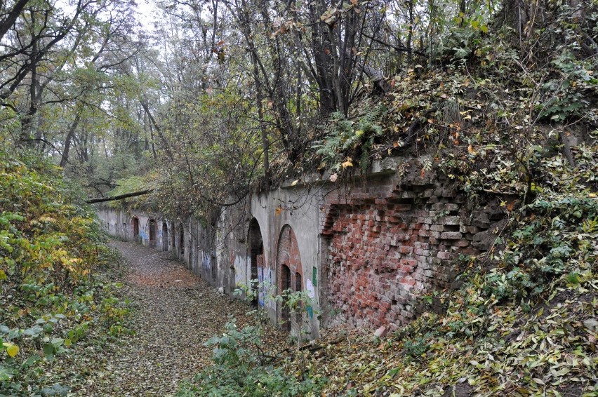 Fort Prokocim