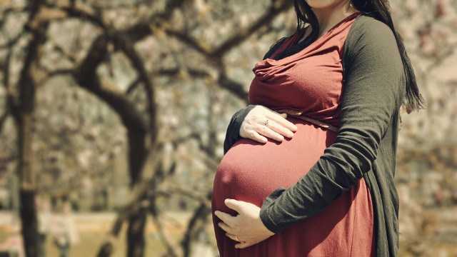 Ciąża plus - tak roboczo nazwano zmiany w prawie zaplanowane przez PiS, które mają dotyczyć poprawy świadczeń dla kobiet w ciąży.