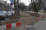 Nowa droga rowerowa na Powstańców Śląskich. Gdzie powstaną kolejne? (ZDJĘCIA)