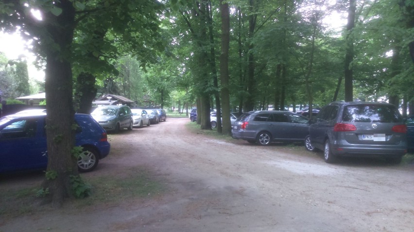 Parking w Parku Dąbskim przy zoo? Kierowcy znów zostawili auta pod drzewami [ZDJĘCIA]