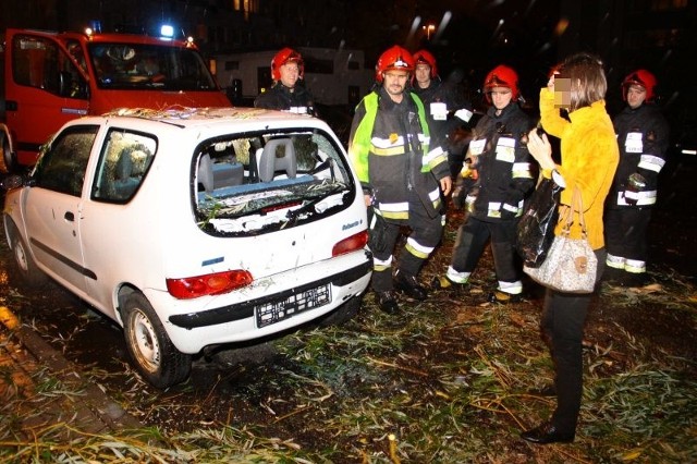 Po godzinie 20 drzewo runęło na fiata seicento, zaparkowanego przy ul. Budowlanych w Opolu.