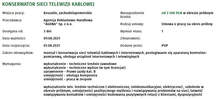Nowe oferty pracy w Koszalinie. Zobacz, kogo szukają pracodawcy. Sprawdź zarobki, warunki, szczegóły