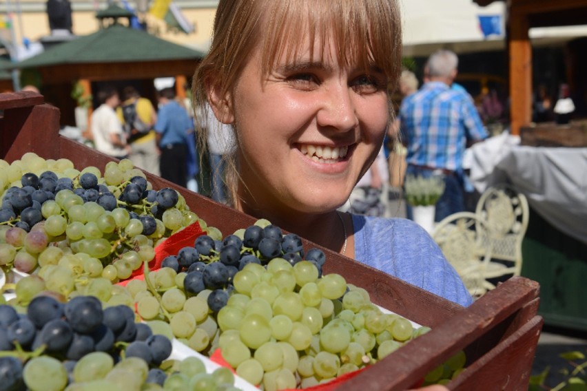 Winobranie 2014. Sprawdź pogodę podczas Dni Zielonej Góry