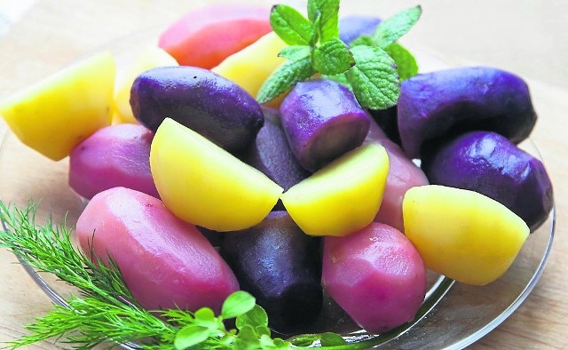 Kolorowe pyry mają takie samo zastosowanie  jak ziemniaki, które jemy od lat