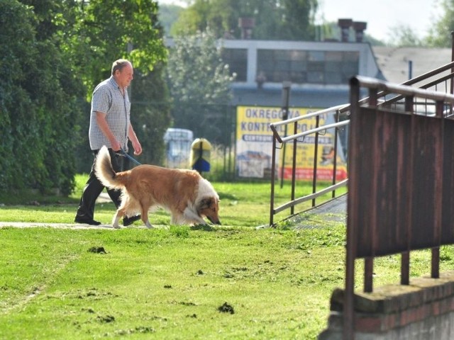 Właściciele psów w Tarnobrzegu otrzymuje zestawy, dzięki którym mogą posprzątać nieczystości po swoim pupilu. Jak na razie nie ma jednak koszy do których wrzucane będą odpady.