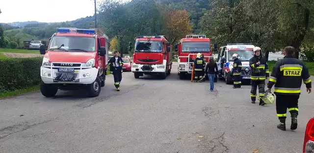 Pod wpływem silnego wiatru drzewo złamało się i zraniło dwie osoby,. Interweniowali strażacy z Międzybrodzia Żywieckiego. Przeglądaj gestem lub za pomocą strzałki, by zobaczyć kolejne zdjęcie