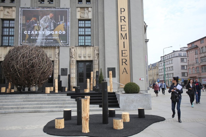 Czarny ogród przed Teatrem Śląskim. To instalacja z okazji...