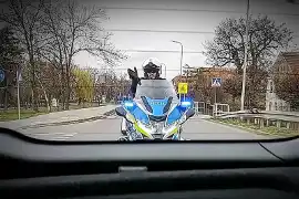 Drogówka z nową akcją w całej Polsce. Przez kilka tygodni łatwiej o mandat!