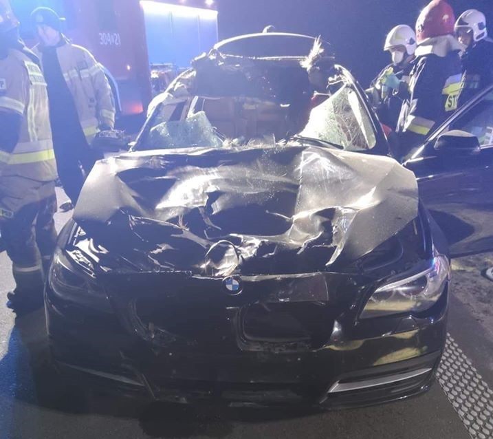 Wypadek na drodze wojewódzkiej nr 582. Zderzenie BMW z łosiem. Zwierzę zginęło, kierowca został przetransportowany do szpitala (zdjęcia)