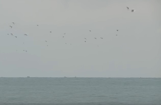Na Morzu Czarnym trwa akcja poszukiwawcza i ratunkowa