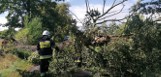 Wichura przechodzi przez Dolny Śląsk. Ponad 160 interwencji strażaków