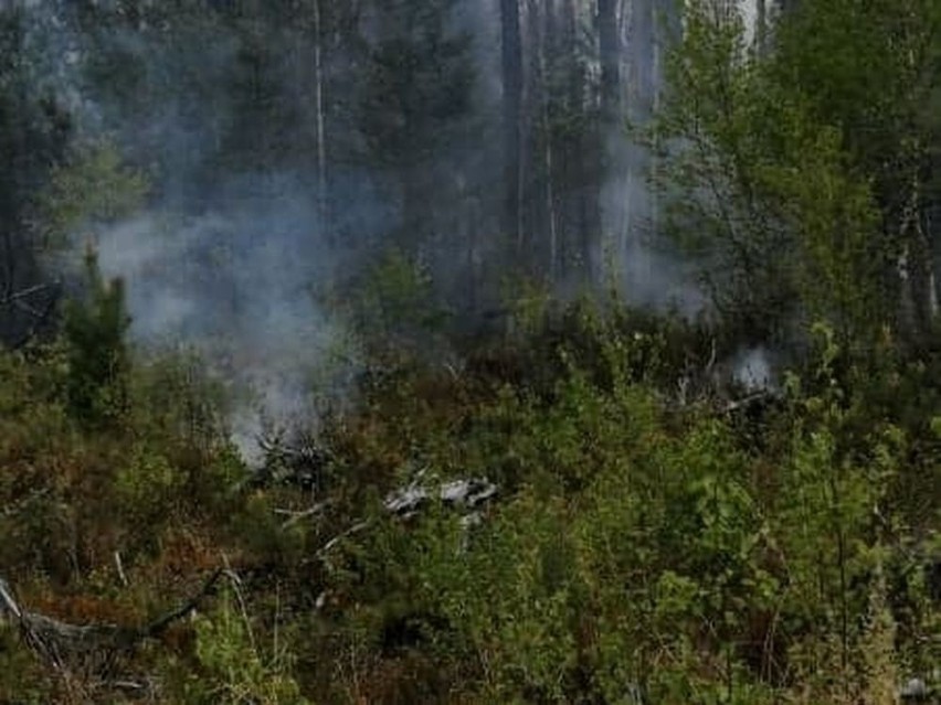 Znów pali się las w gminie Bliżyn. W akcji gaśniczej biorą udział samoloty [WIDEO, ZDJĘCIA]
