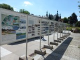 Historia i teraźniejszość kieleckiego żeglarstwa na wystawie na placu Artystów