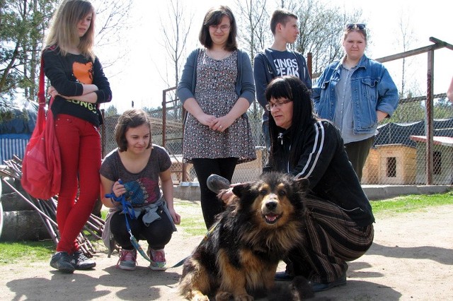 Wolontariusze z bielskiego Gimnazjum nr 1 od kilku lat odwiedzają psy w hajnowskim schronisku i przywożą im prezenty.
