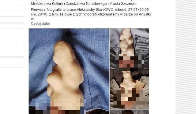 „Wytwory sztuki wywołują zachwyt, wzruszenie czy też wstrząs” - słowa W. Tatarkiewicza cytuje Krzysztof Soska