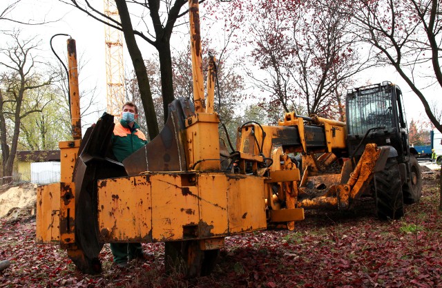 Trwa budowa nowego Egzotarium w Sosnowcu. Zamiast wycięcia z placu budowy 31 drzew, udało się je przesadzić w inne miejsca.Zobacz kolejne zdjęcia. Przesuwaj zdjęcia w prawo - naciśnij strzałkę lub przycisk NASTĘPNE