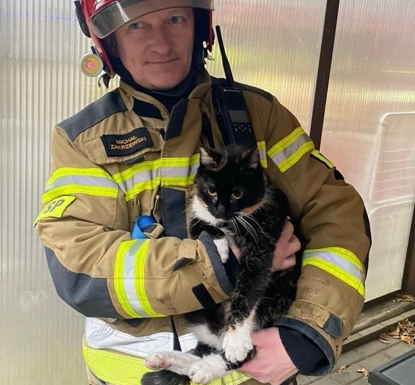 Strażacy z Grudziądza podczas pożaru uratowali kota!