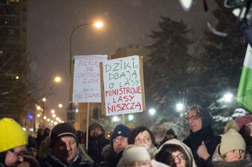 Protest przeciw odstrzałowi dzików pod Sejmem (9/01/2019)