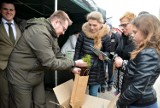 Drzewko za makulaturę - liczymy na kolejny rekord