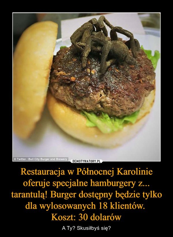 Światowy Dzień Hamburgera - najlepsze memy...