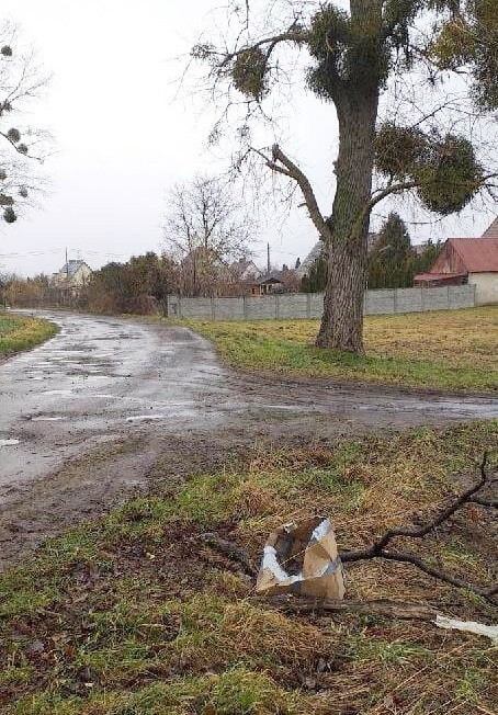 Takie szczeniaki zostały porzucone w gminie Malbork