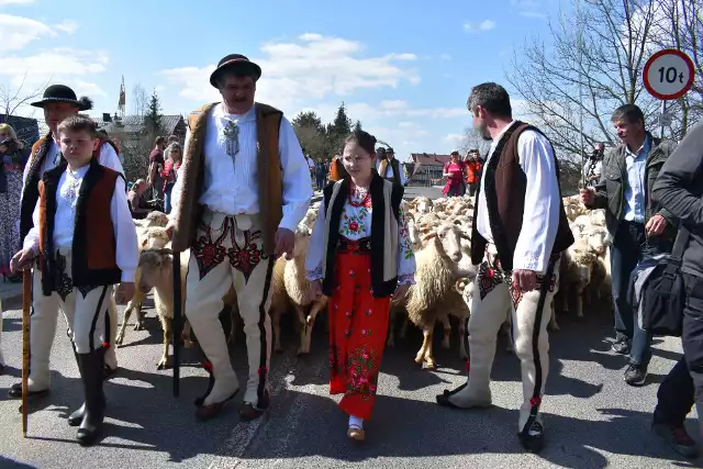 Święto Bacowskie w Ludźmierzu. Zgodnie z tradycją 23 kwietnia bacowie z Podtatrza spotkali się w sanktuarium Matki Bożej Królowej Podhala