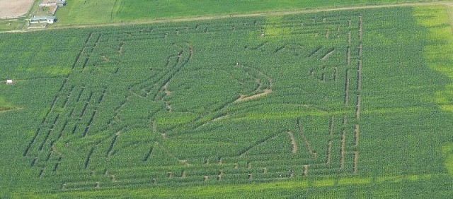 Na terenie Zespołu Pałacowego w Kurozwękach funkcjonuje jedna z największych atrakcji turystycznych w Polsce &#8211; labirynt. W tym roku przedstawia on portret świętego Jana Pawła II i wykonany jest w kukurydzy.