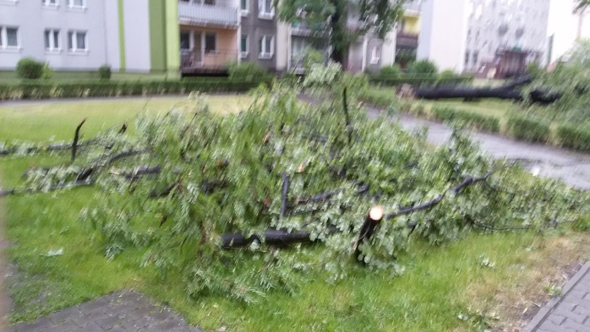 Najgorzej jest na ul. Fredry, Piłsudskiego, Czarneckiego i...