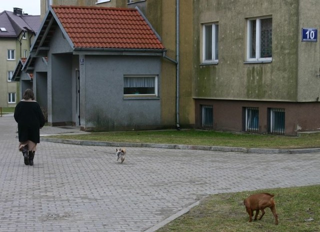 Mieszkańcy ul. Mochnackiego nie mają gdzie wyrzucać psich odchodów.