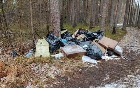 Leśniczy z Szałasu znalazł w lesie hałdę wyrzuconych śmieci.