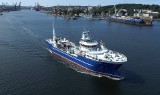 Stocznia Crist zbudowała statek do przewozu żywych ryb. Jednostka została przekazana norweskiemu armatorowi Arctic Group AS [zdjęcia]
