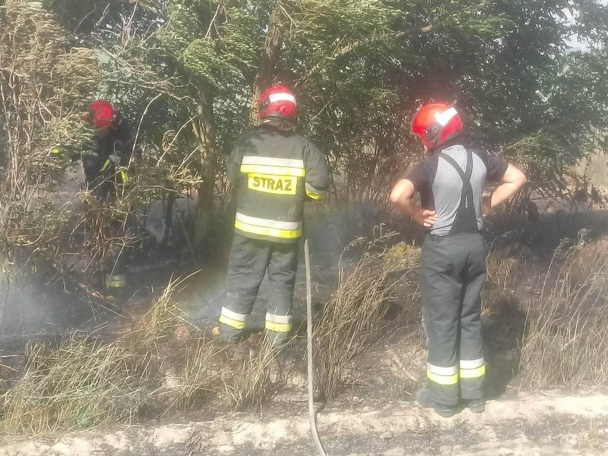 Strażacy i saperzy działali na polu pod Stargardem. Podczas pożaru słomy i drzewa znaleziony został niewybuch