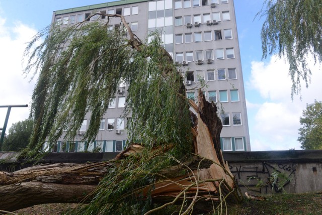 Zniszczenia po nawałnicy w Zielonej Górze we wrześniu br. (zdjęcie archiwalne)