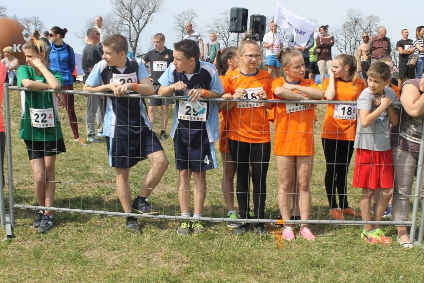 Cross Straceńców 2015. Sztafetowe Mistrzostwa Głogowa [Zdjęcia]