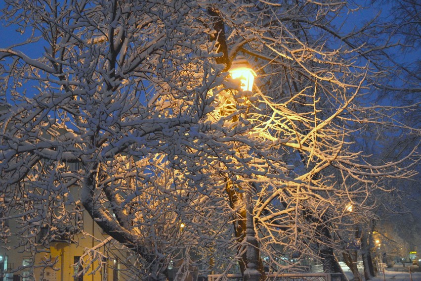 Piękna zima w Świętokrzyskiem [WIDEO, zdjęcia]