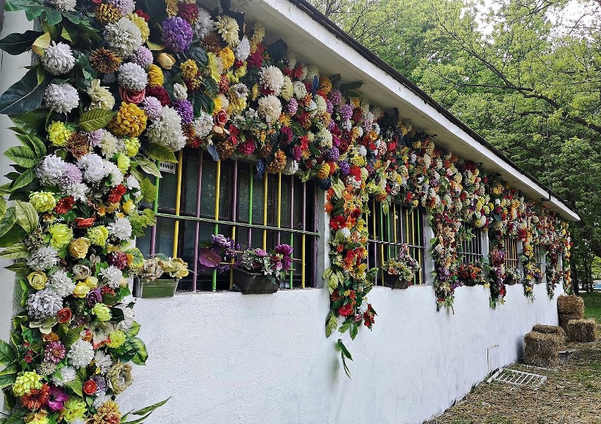 Kraków. Pierwsza krakowska farma miejska powstaje w Parku Kleparskim [ZDJĘCIA]