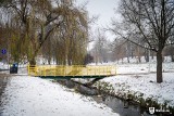 Zapowiada się remont Doliny Silnicy w Kielcach. Zobacz, co zostanie zrobione. Zdjęcia