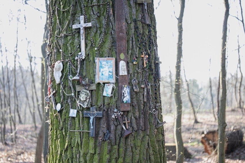 W kapliczce wciąż palą się świeże znicze. Wiele osób...