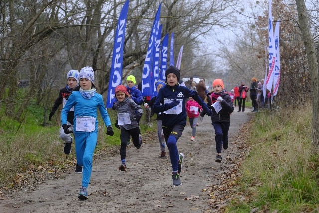 Po raz siódmy i ostatni spotkali się w tym roku biegacze w ramach Grand Prix Torunia w Biegach Przełajowych. Jak zwykle trasa liczyła 6 kilometrów i wiodła drogami lasku bielańskiego w okolicach UMK. Nie zabrakło dorosłych oraz dzieci.Zobacz też:Parkrun Toruń już po raz 228NowosciTorun