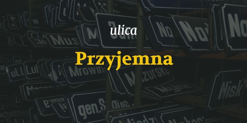 W Poznaniu nie brakuje nietypowych nazw ulic. Niektóre...