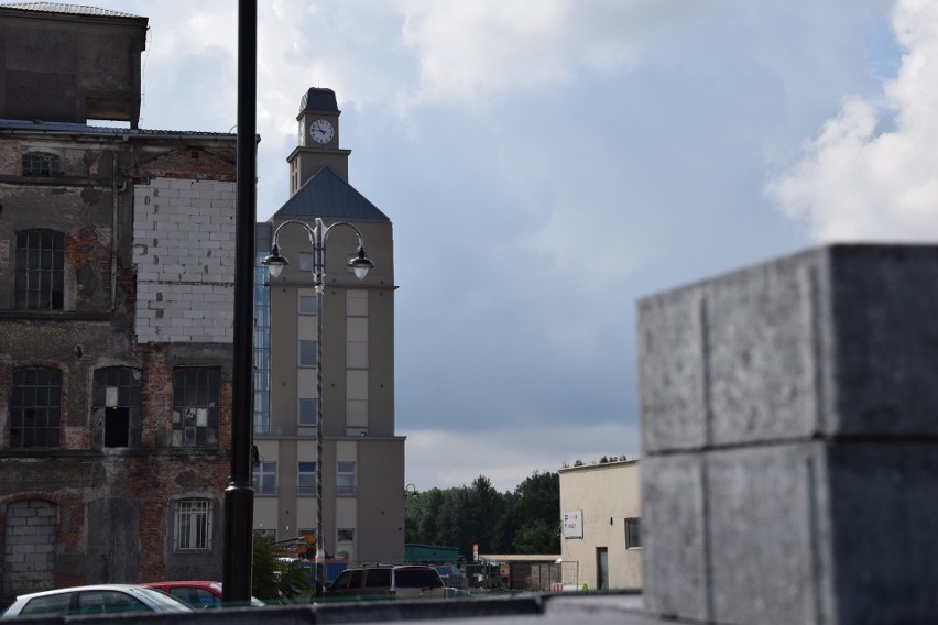 Projekt Re Odra, którego celem powrót życia do terenów...