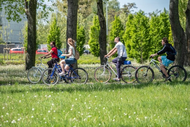 W niedzielę 14 sierpnia odbędzie się wspólny przejazd rowerowy z dziedzińca urzędu miasta na Rondo Śródkę. Wydarzenie zakończy się rodzinnym piknikiem pod Bramą Poznania. Wstęp bezpłatny.