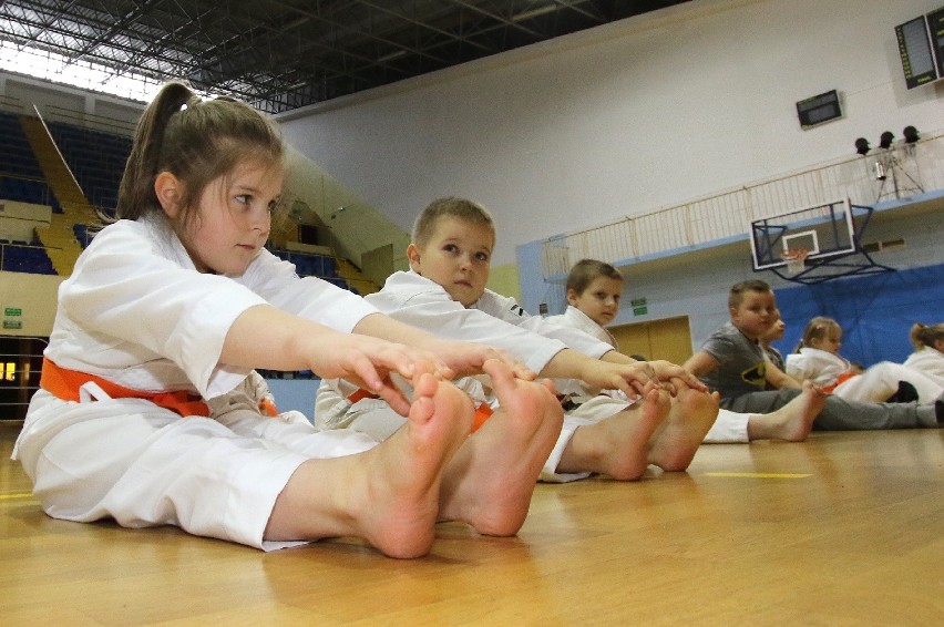 W pierwszy dzień ferii ćwiczyli... karate w Kielcach [WIDEO, zdjęcia]