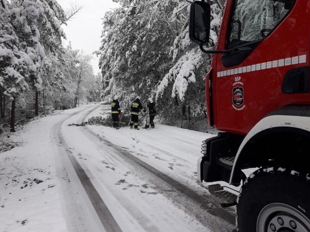 Druhowie z Ochotniczej Straży Pożarnej Starachowice osiedle Michałów w sobotni poranek usuwali powalone drzewa w Adamowie i Stykowie.