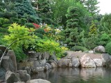 Ogrody z bonsai, papiery washi i miecze samurajów. Nie trzeba jechać do Japonii. Macie to tuż obok