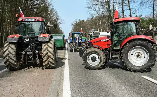 Kobieta potrąciła zastępcę komendanta miejskiego policji w Bydgoszczy w czasie protestu rolników w Przyłubiu.