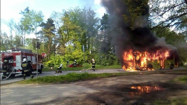 Gdy na miejsce akcji, jako pierwsi dotarli strażacy z Piotrkowic, autobus stał już cały w płomieniach